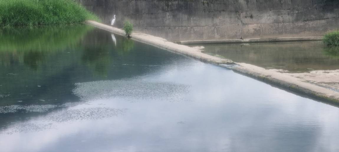 20240907_125924.jpg