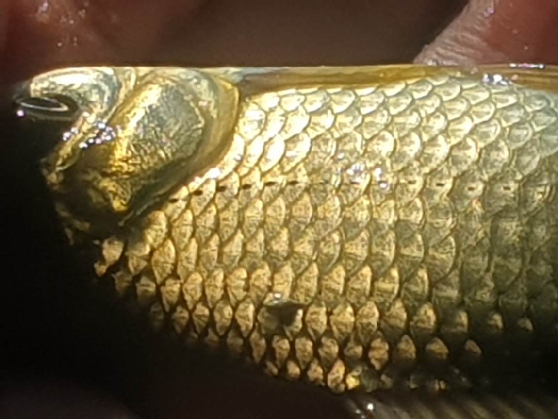 20241010_134022.jpg