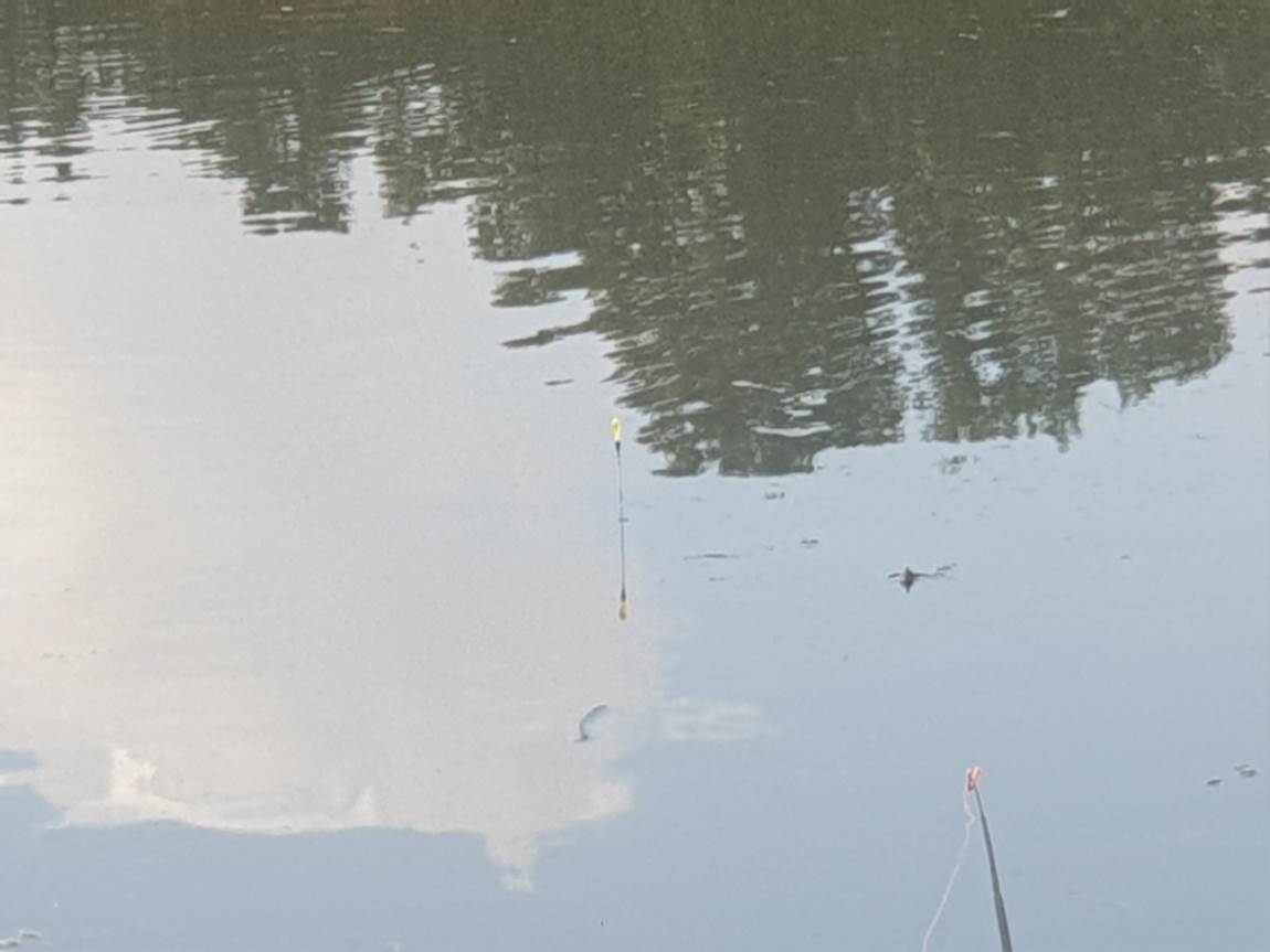 20241010_140208.jpg