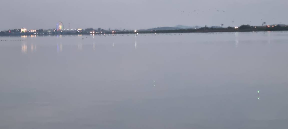 20241013_180942.jpg