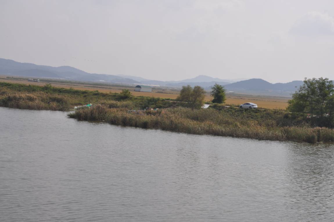 DSC_0033.JPG