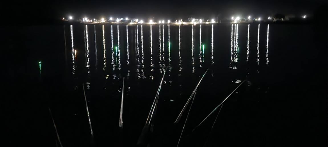 20241105_200849.jpg