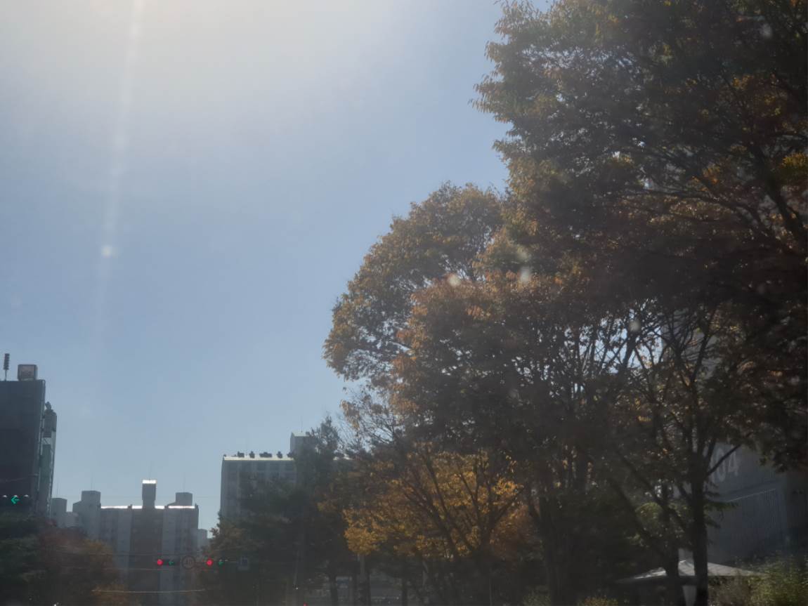 20241106_130854.jpg
