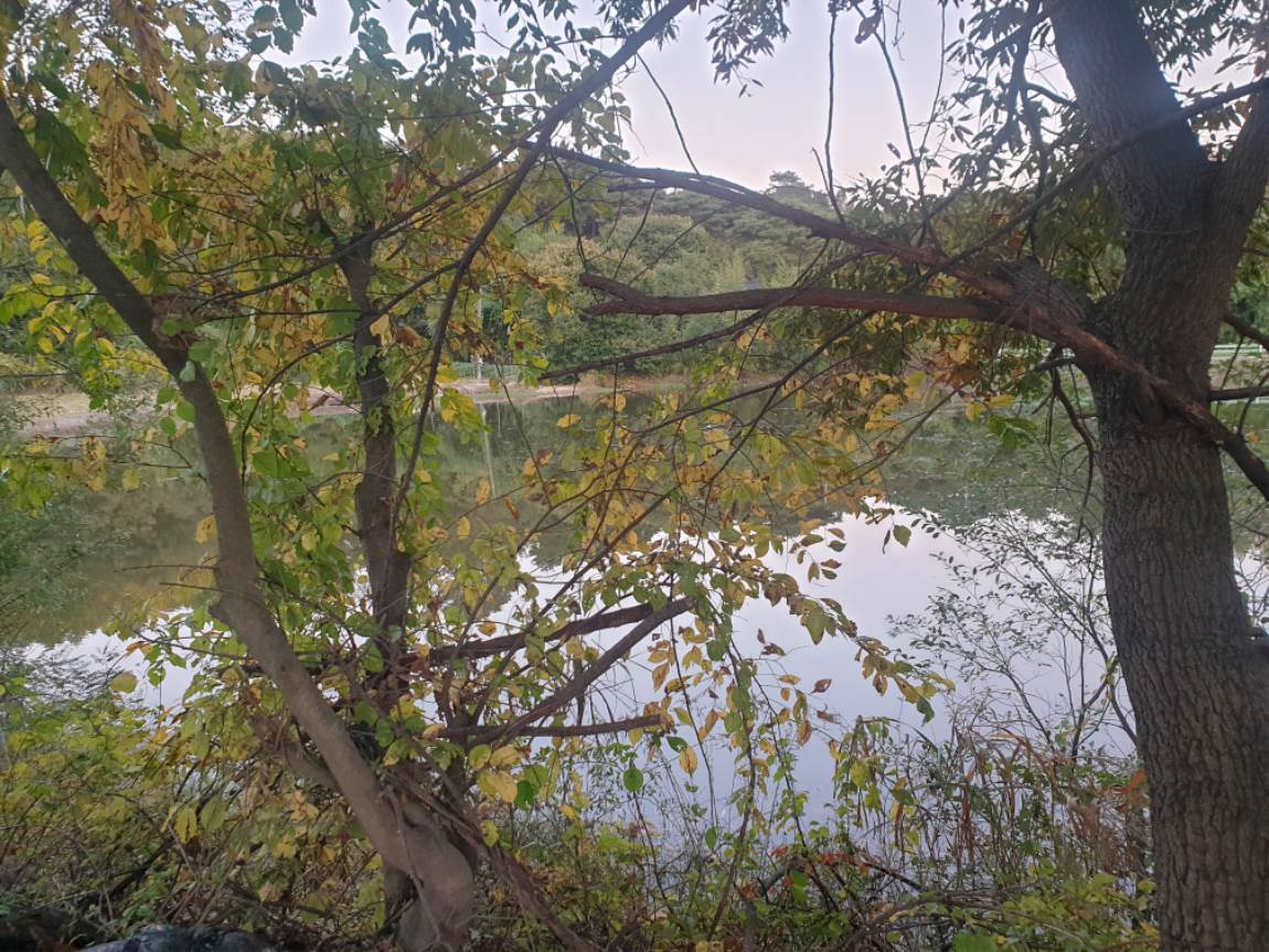 20241106_172853.jpg