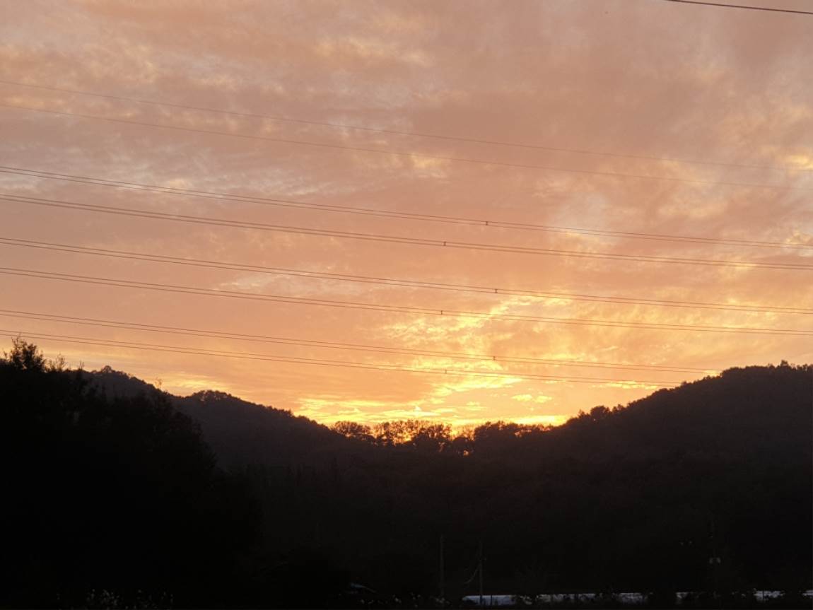 20241108_172351.jpg