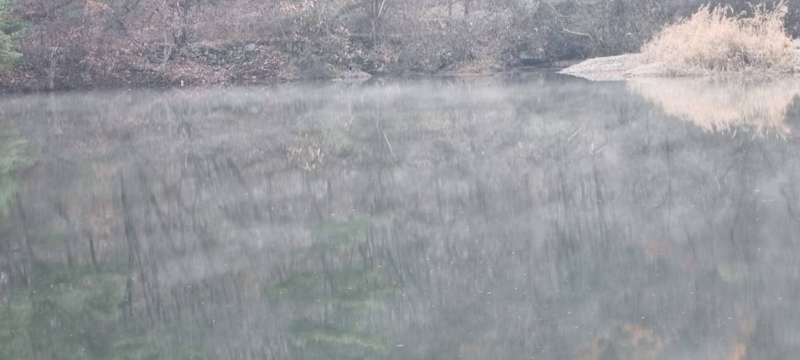 20241129_083343.jpg