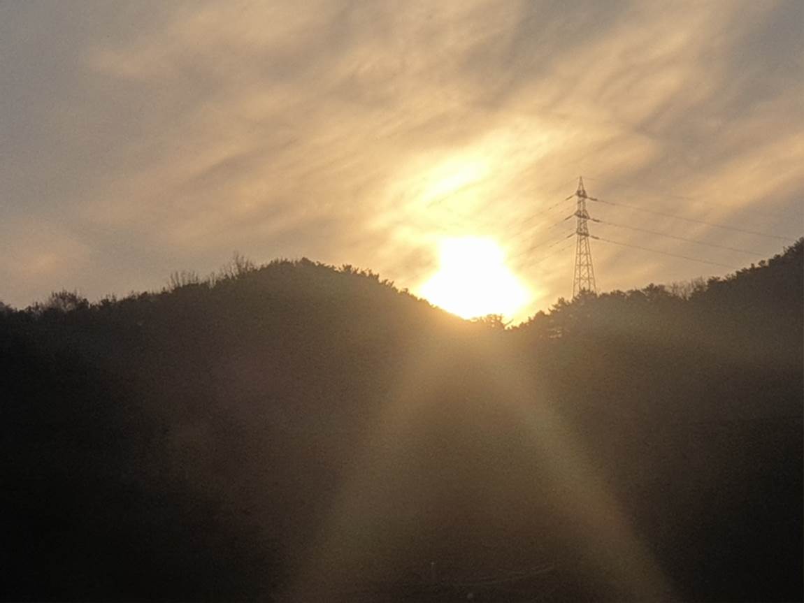 20241201_080430.jpg