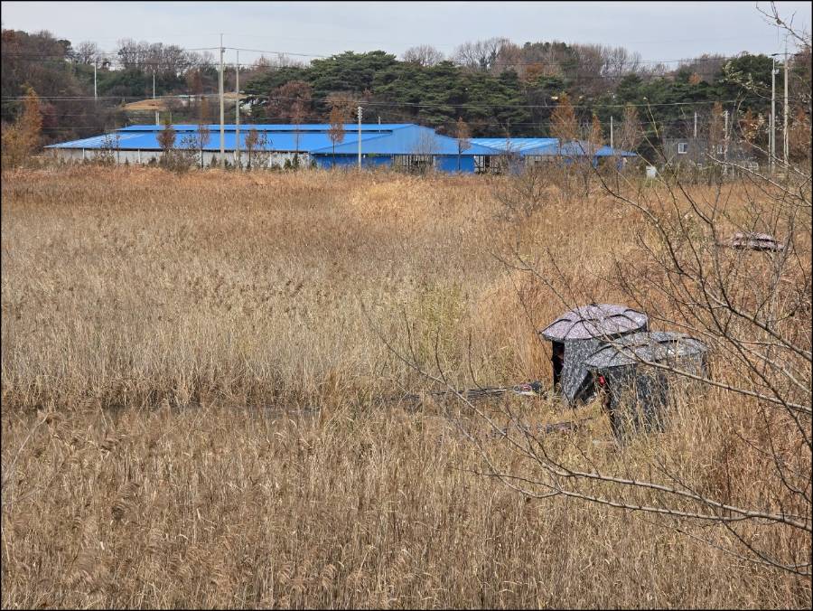55.jpg