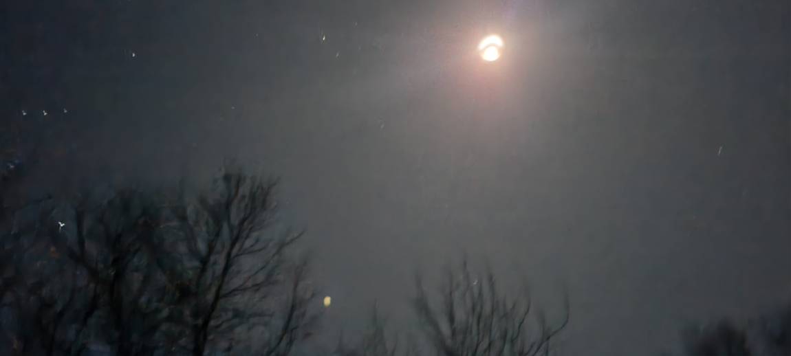 20241214_002412.jpg