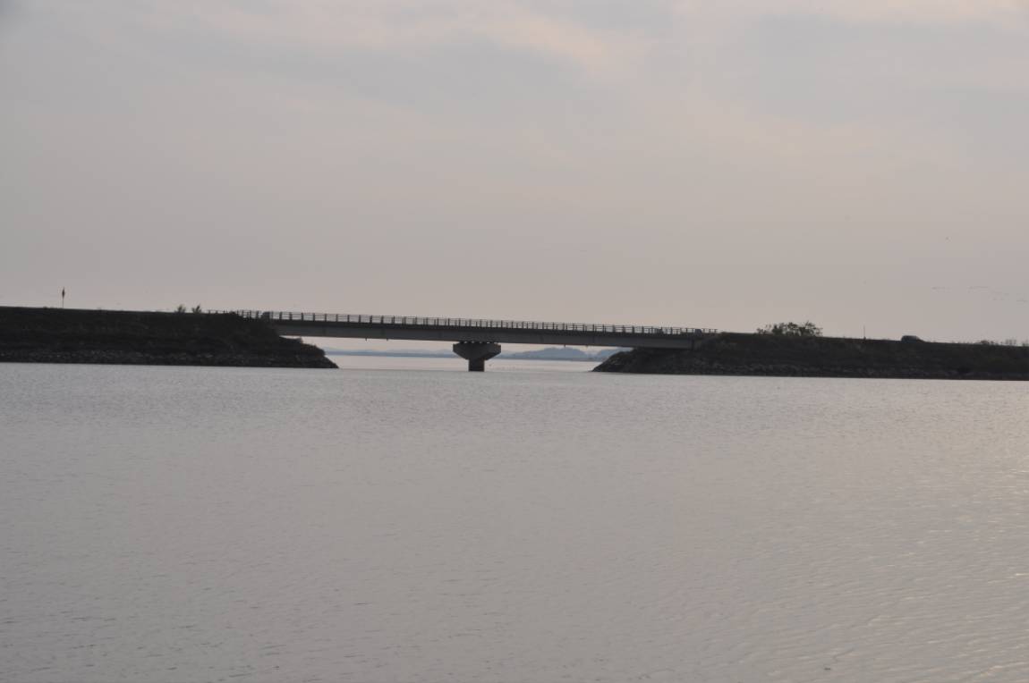 DSC_0049.JPG