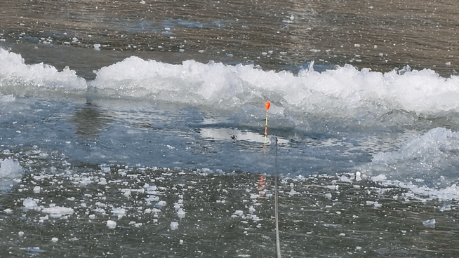 9.gif