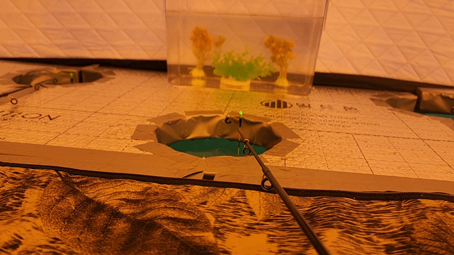 10.gif