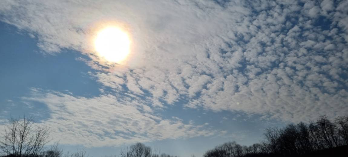 20250113_111809.jpg