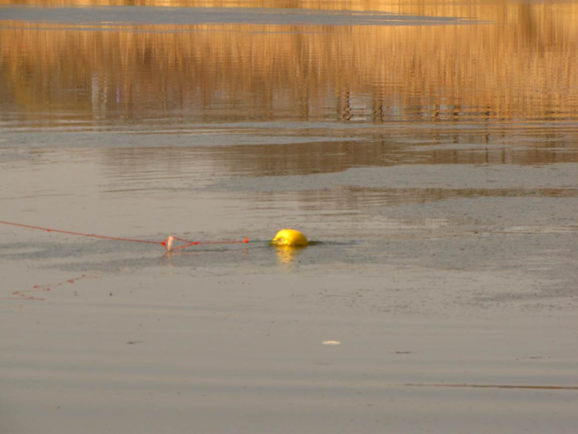 IMG_7971.JPG