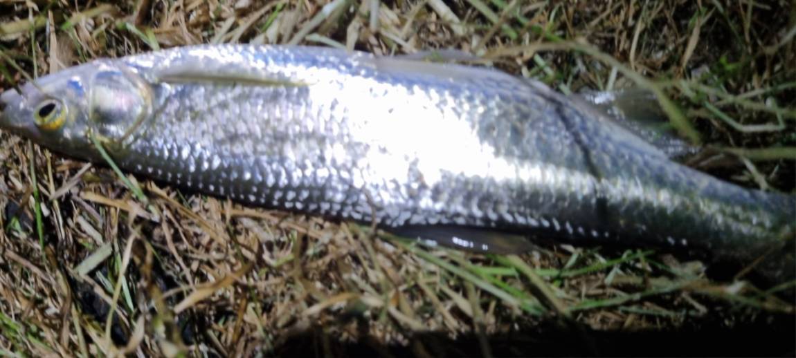 20250117_182421.jpg