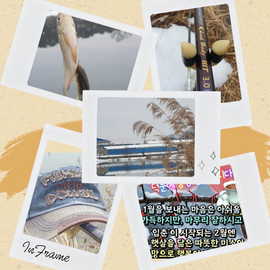 InFrame_1738323334460.jpg