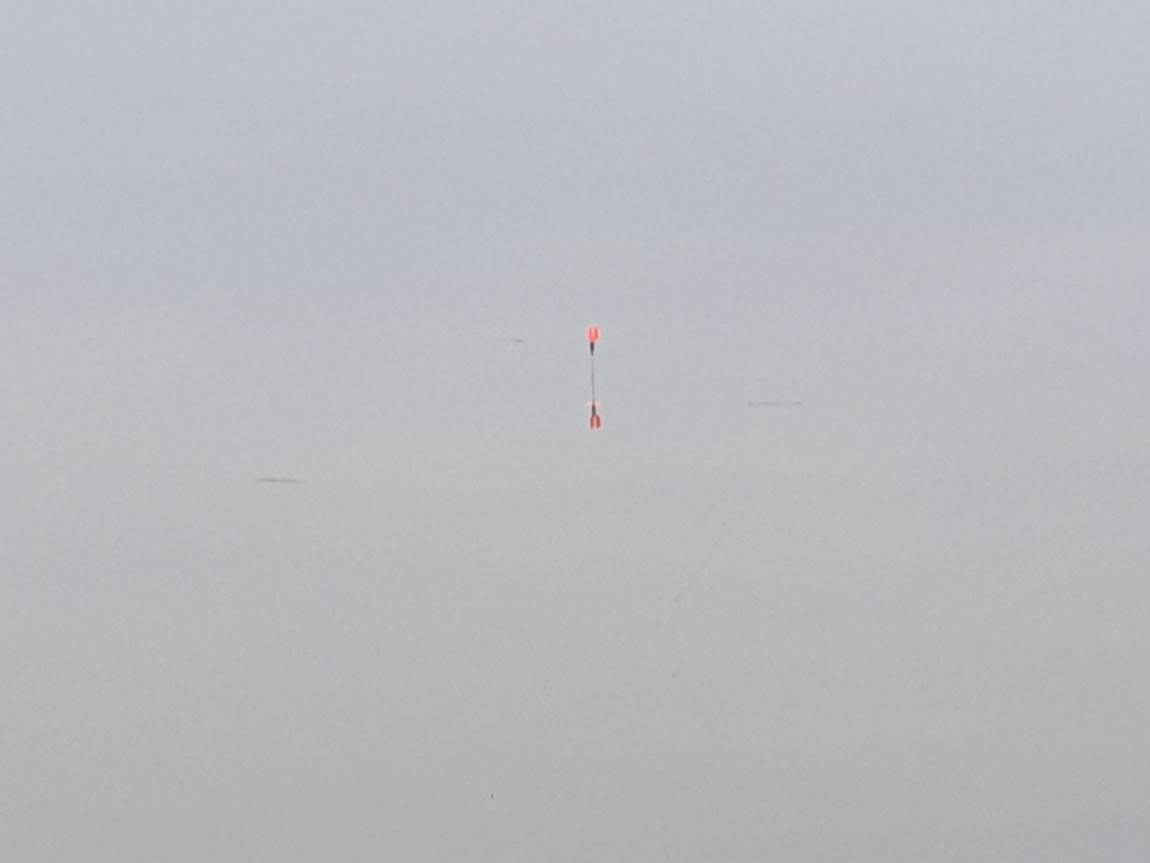 20250131_130244.jpg