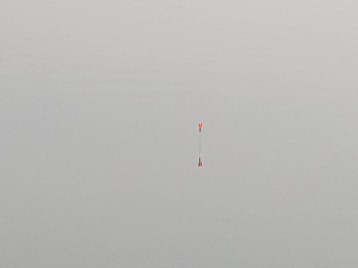 20250201_144443.jpg