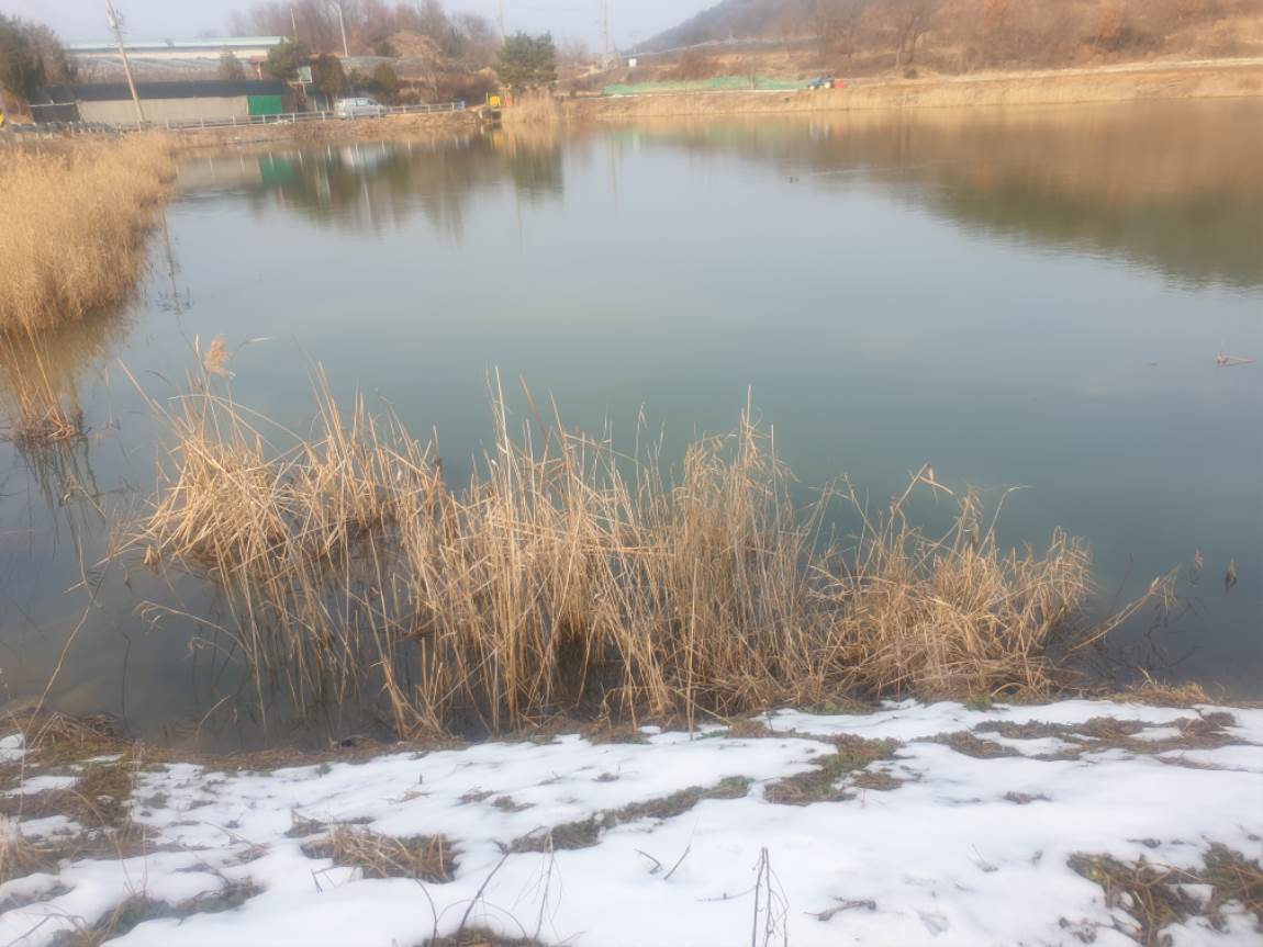 20250202_152311.jpg