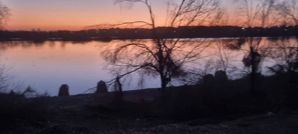 20250217_065215.jpg