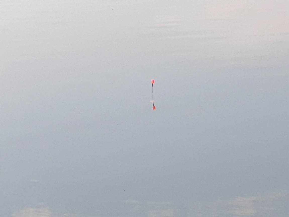 20250227_160924.jpg