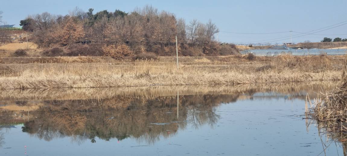 20250227_092907.jpg