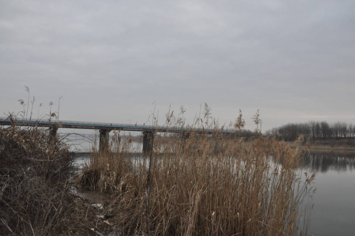 DSC_0028.JPG