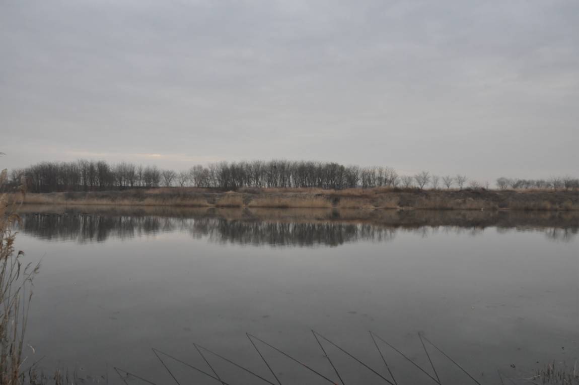 DSC_0029.JPG