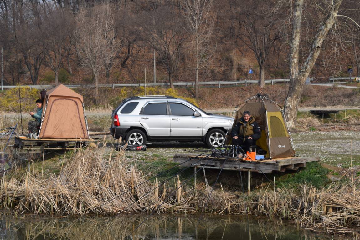 DSC_0903[1].JPG