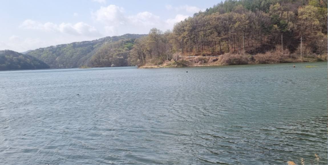 20250413_092921.jpg