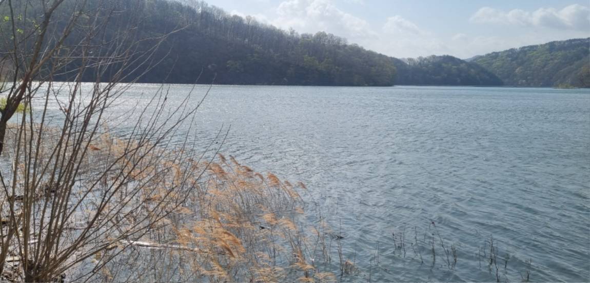 20250413_092919.jpg