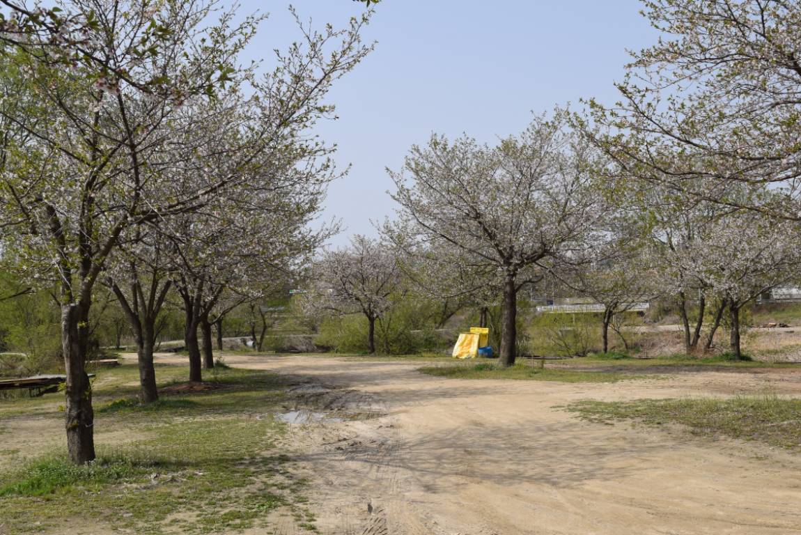 DSC_0914 - 纻.JPG