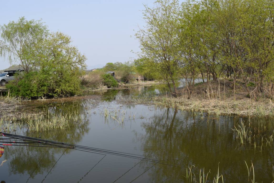 DSC_0944.JPG