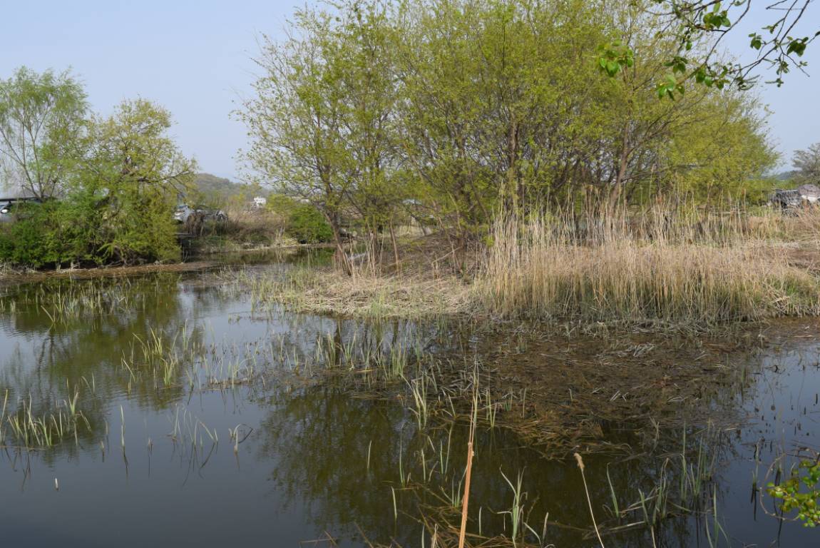 DSC_0943 - 纻.JPG