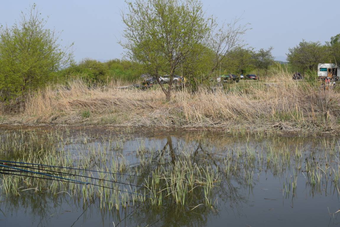 DSC_0942 - 纻.JPG