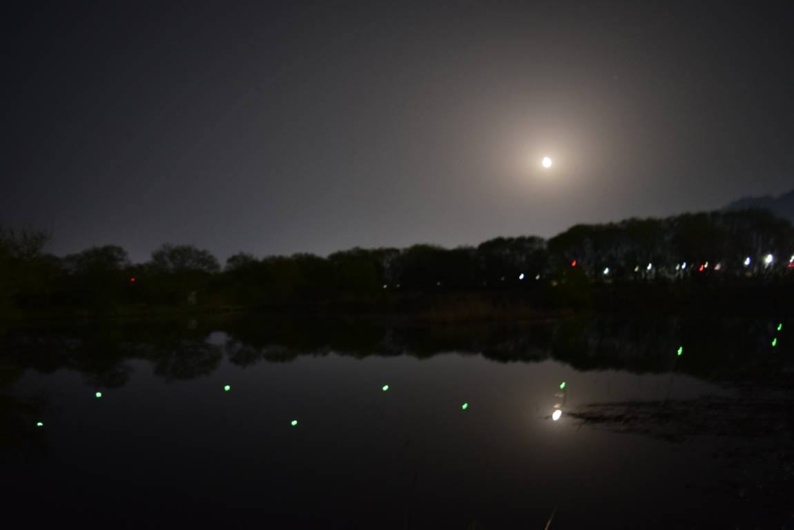 DSC_0924 - 纻.JPG