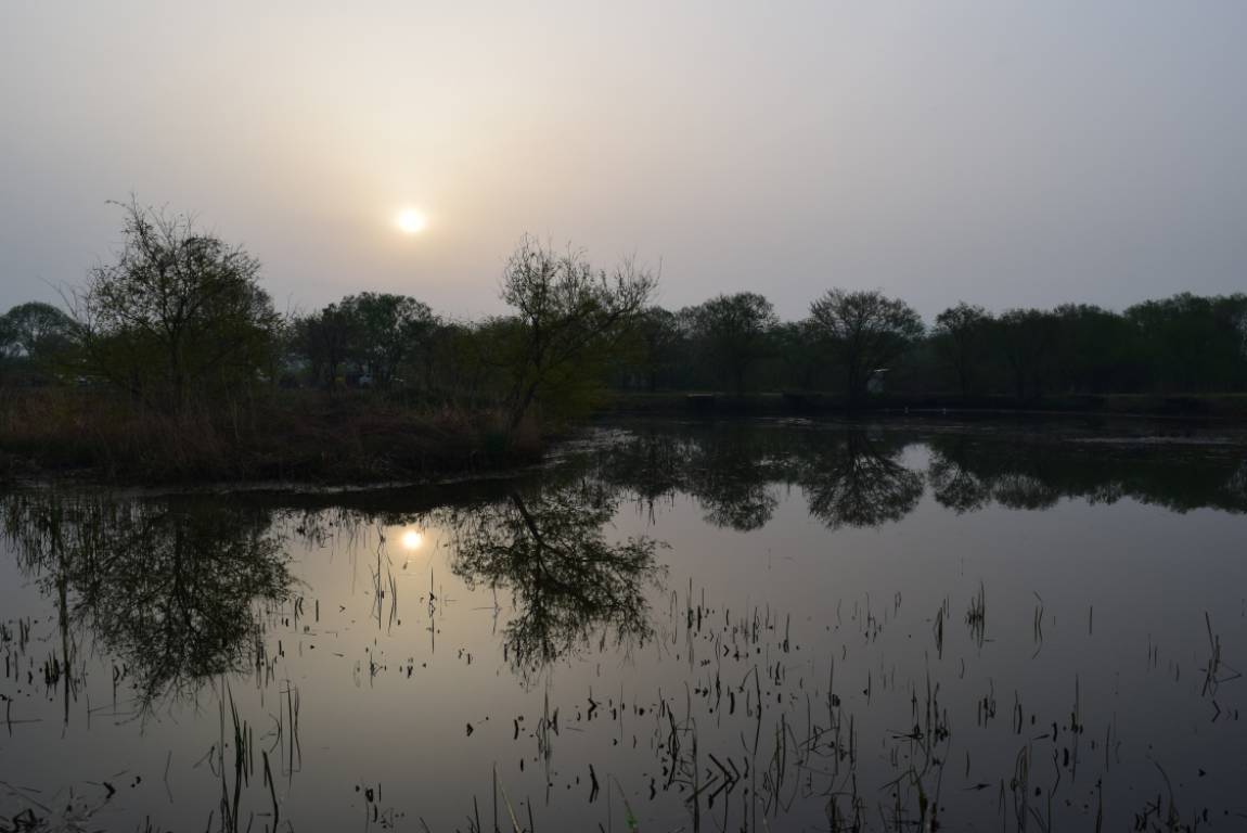 DSC_0925 - 纻.JPG