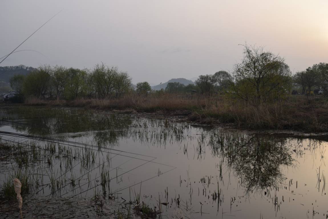 DSC_0927 - 纻.JPG