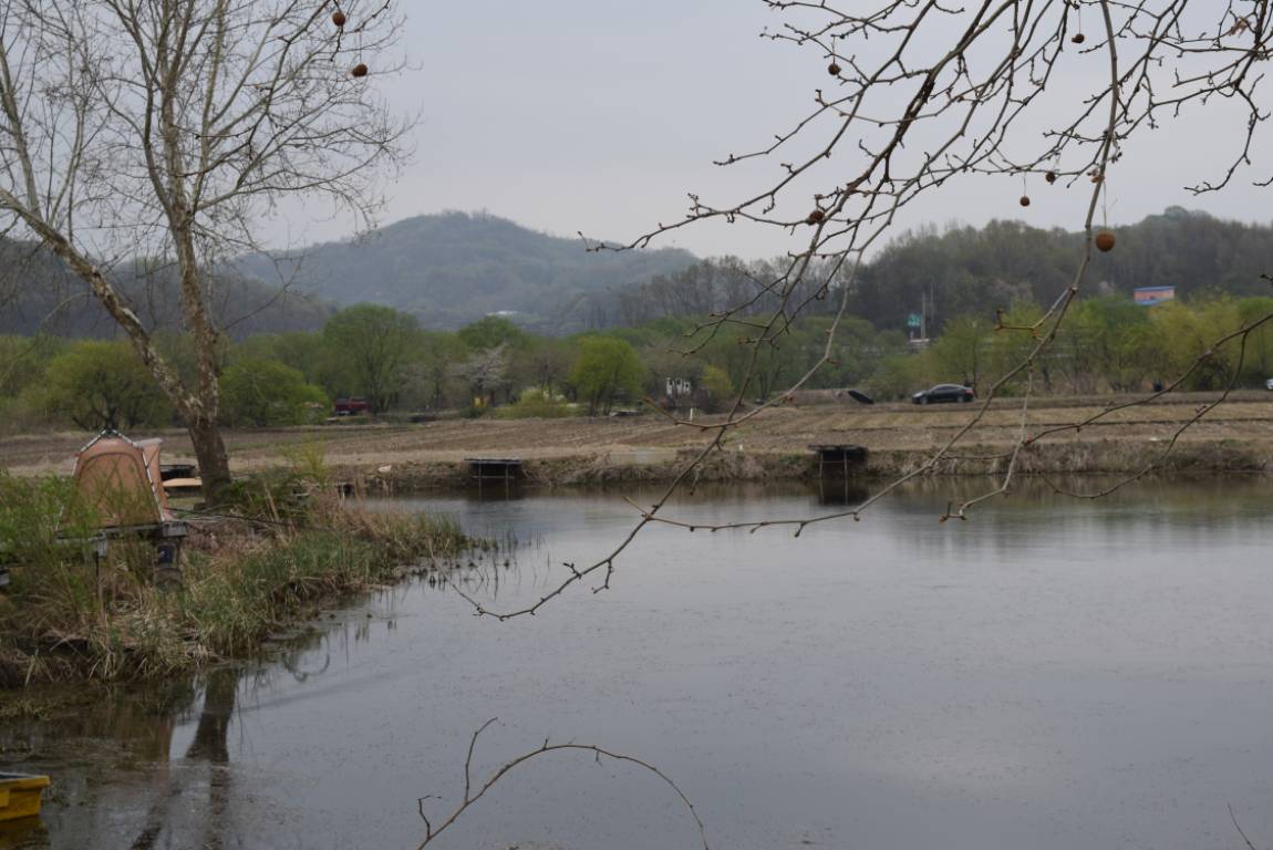 DSC_0932 - 纻.JPG