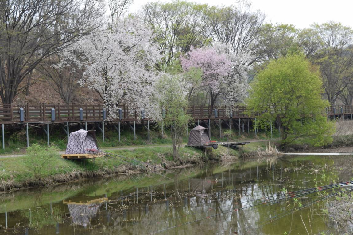 DSC_0935 - 纻.JPG