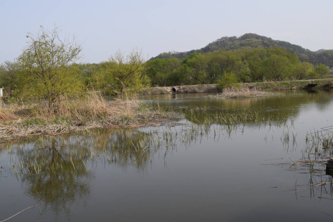 DSC_0947 - 纻.JPG