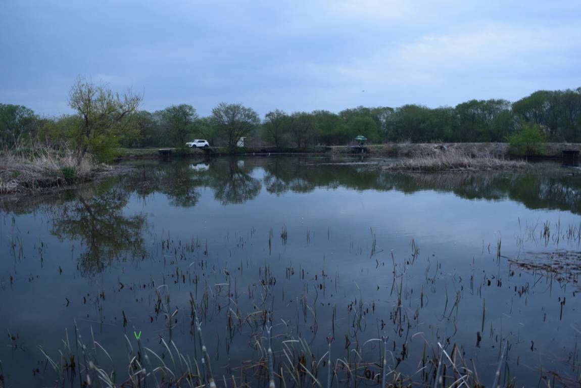 DSC_0949 - 纻.JPG