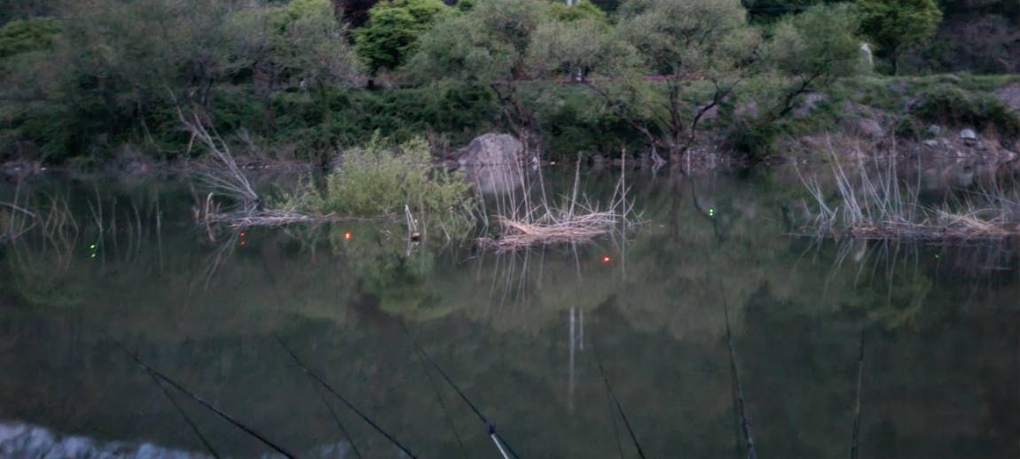 20250425_051036.jpg