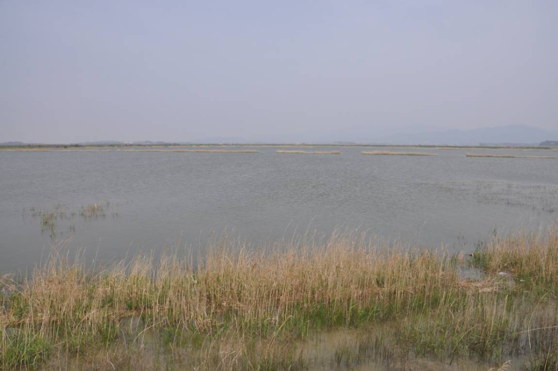 DSC_0003.JPG