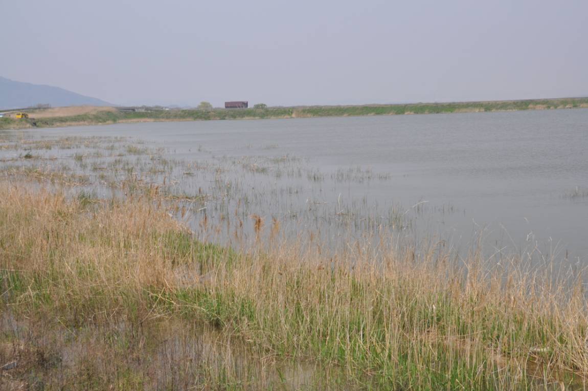 DSC_0004.JPG