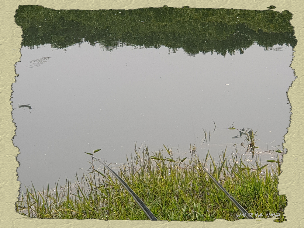 20250508_150649.jpg