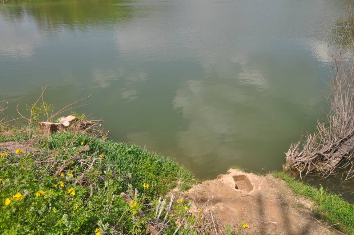 DSC_0006.JPG