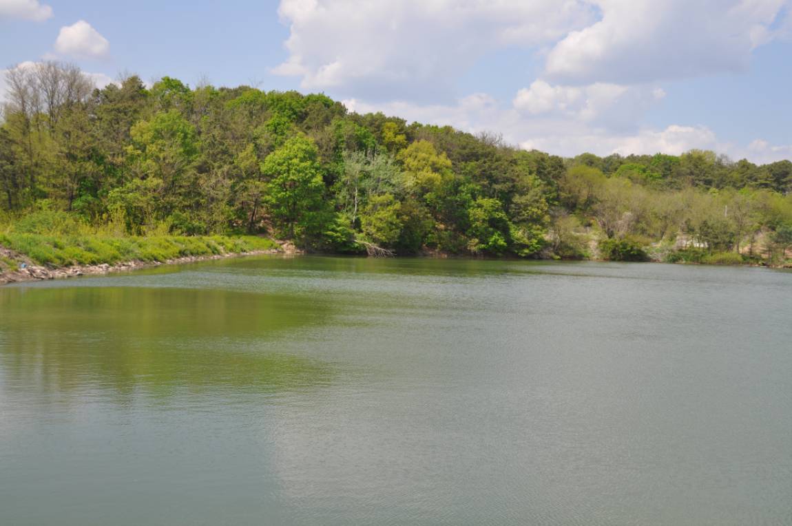 DSC_0008.JPG