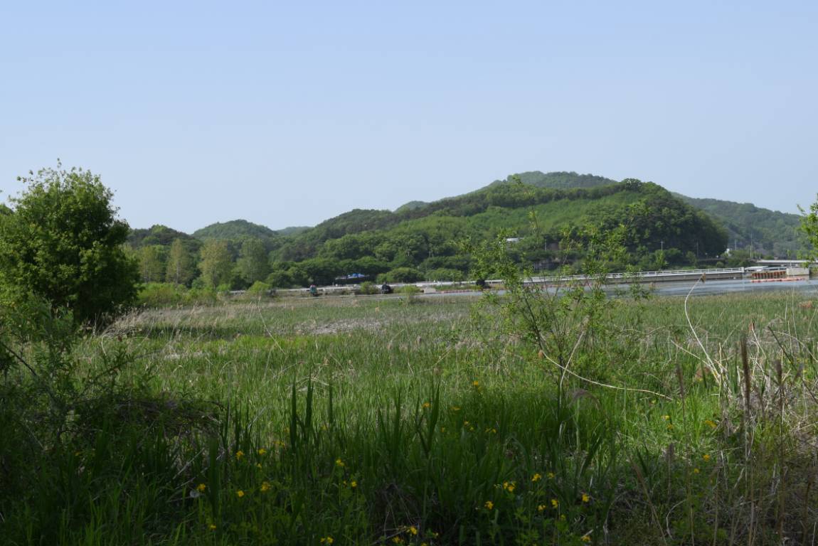 DSC_1092.JPG