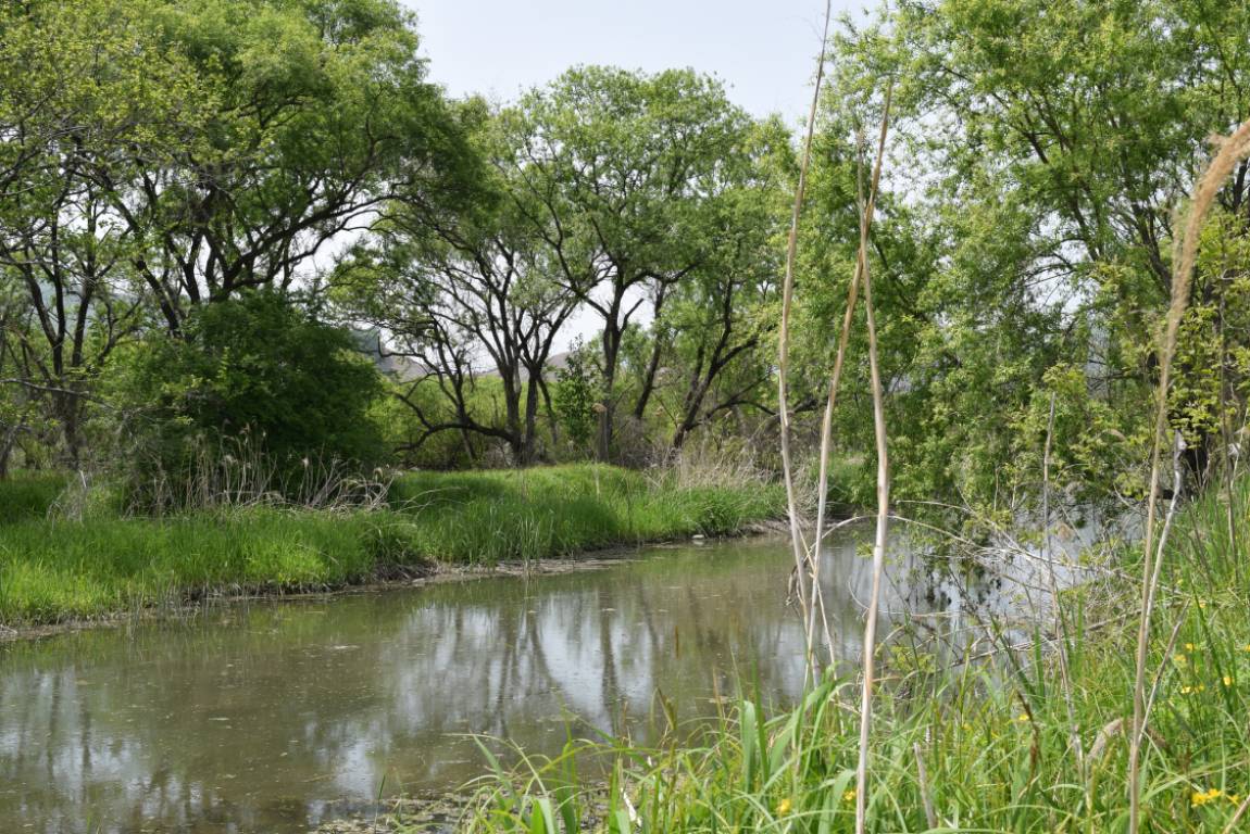 DSC_1080.JPG